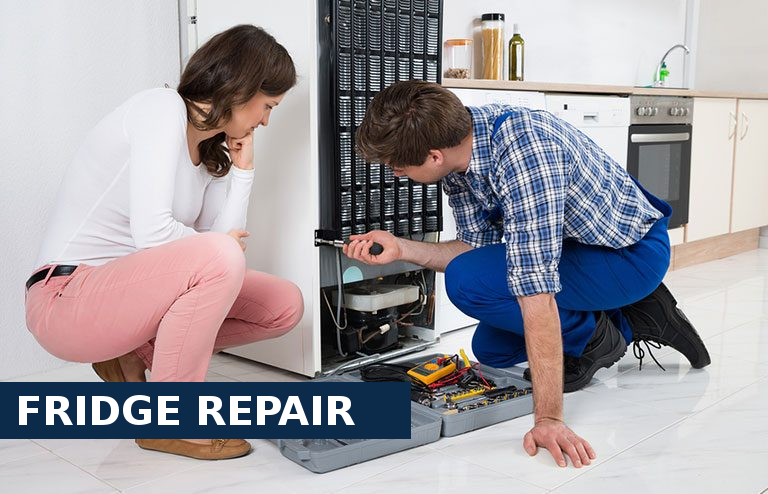 Fridge Repair Ashford